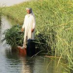 العراق.. الخزين المائي أقل من نصف الاحتياج ومصير قاتم بانتظار الأهوار تقارير وتحليلات Breaking الاهوار الخزين المائي مياه العراق