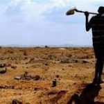 فيلم صومالي يفوز بالجائزة الكبرى بالمهرجان الأفريقي