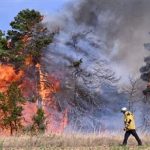 تدمير 700 ألف هكتار بسبب حرائق الغابات في الاتحاد الأوروبي