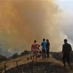 الجزائر تعلن إخماد 73 بؤرة حريق شرقي البلاد